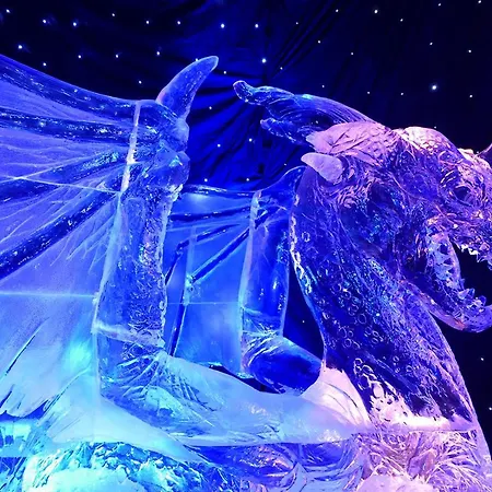 Buena Vista Privat bolig